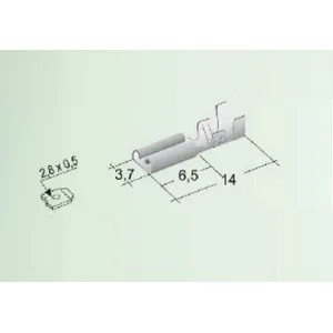 2.8Mm